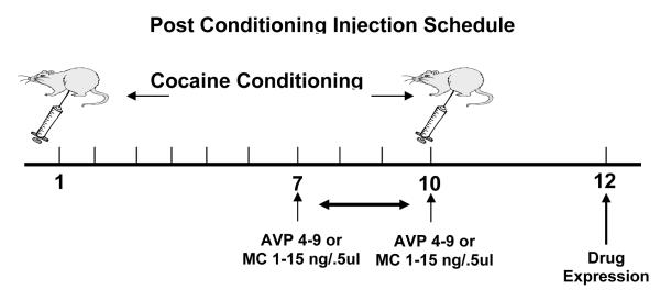 Figure 1b