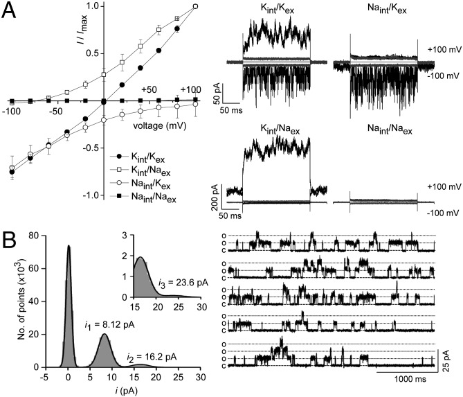 Fig. 4.