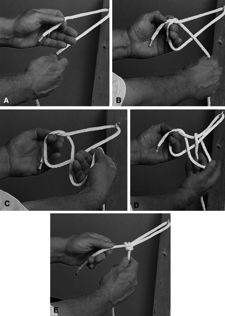 Fig. 1A–E