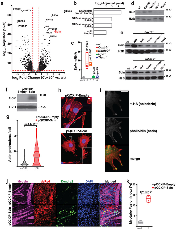 Fig. 4: