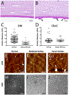 Fig. 22.