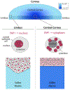 Fig. 9.