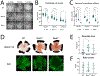 Fig. 23.