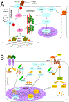 Fig. 3.