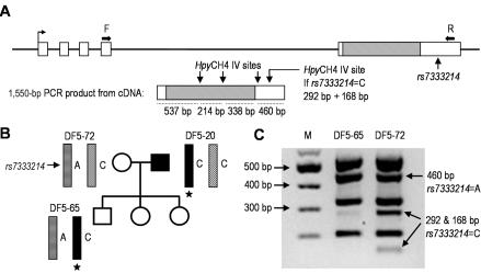 Figure  6. 