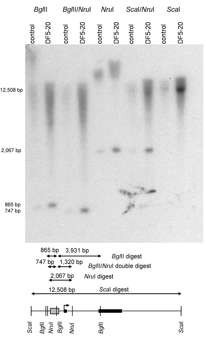 Figure  4. 