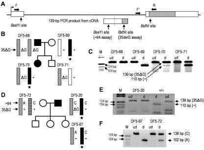 Figure  5. 