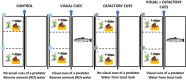 Top view of the paternal exposure set up for each treatment