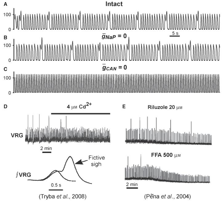 Fig. 10