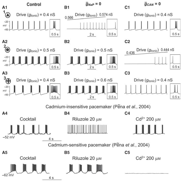 Fig. 6