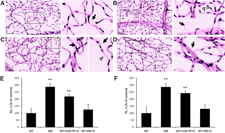 Figure 6