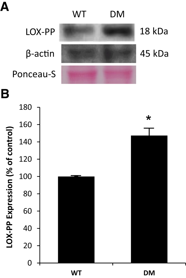 Figure 4