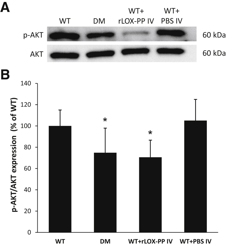 Figure 5