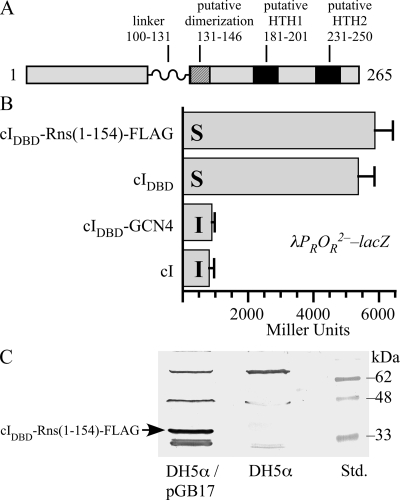 FIG. 1.