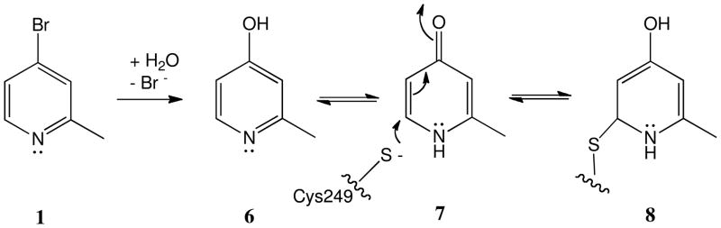 Scheme 2