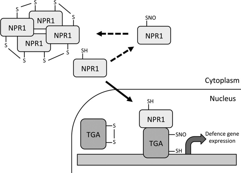 FIG. 5.