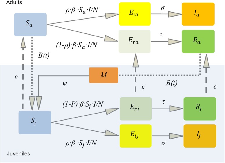 Fig 1