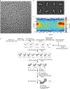 Extended Data Fig. 2: