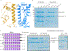 Extended Data Fig. 7: