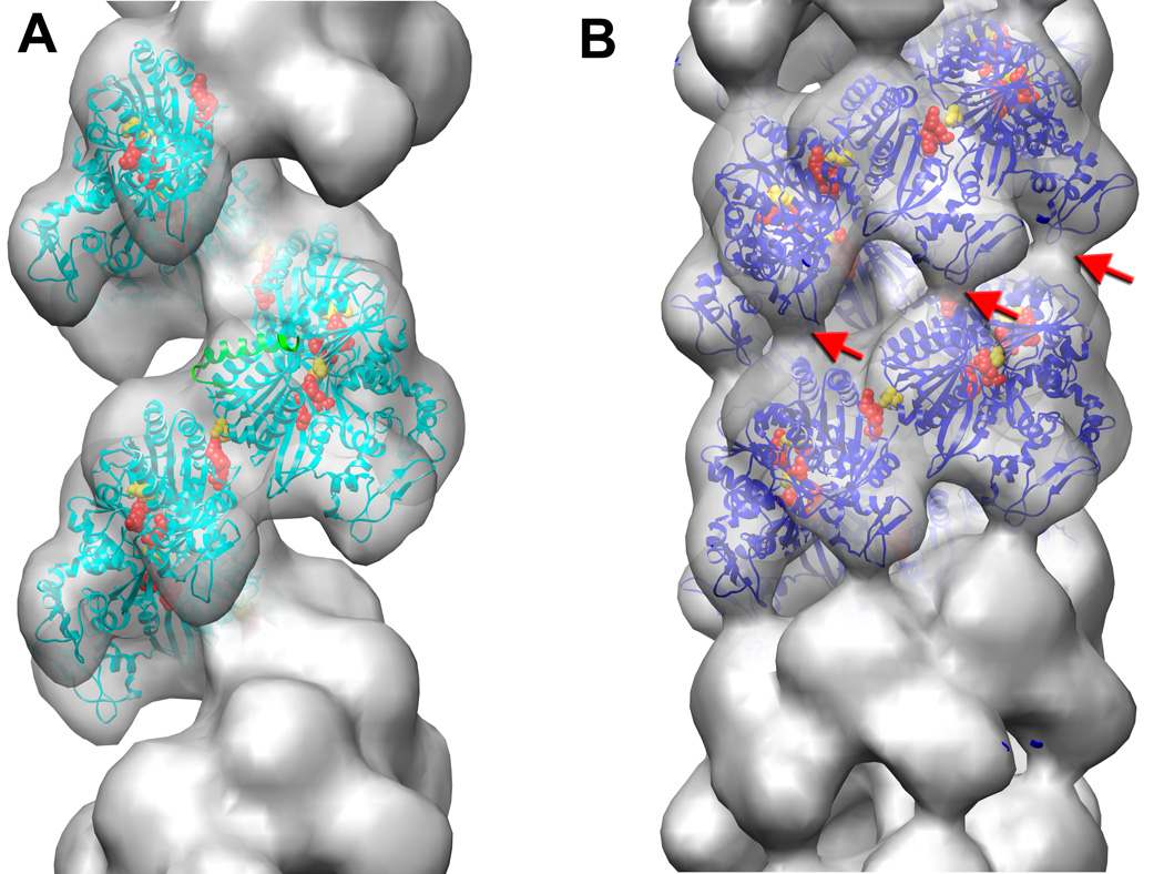 Fig. 4