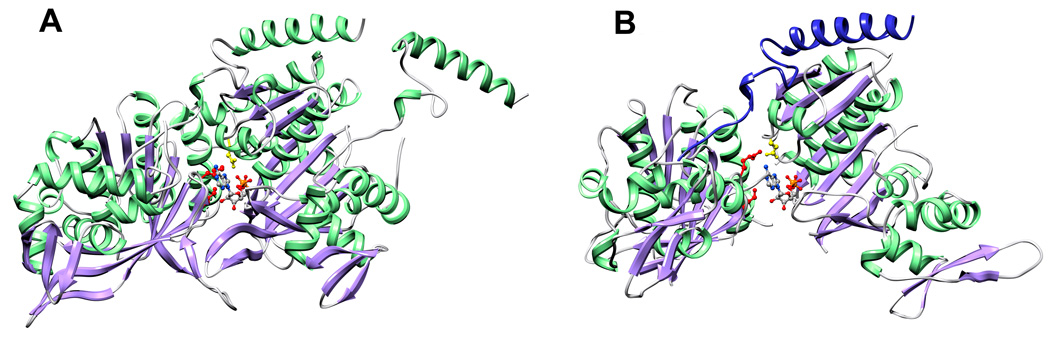 Fig. 5