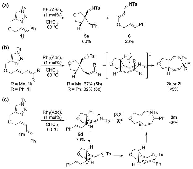 Scheme 4