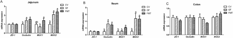 Fig. 3