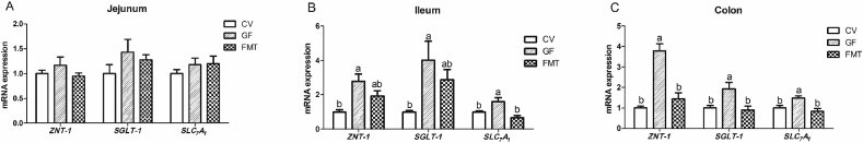 Fig. 2