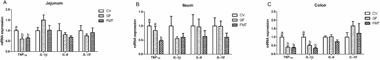 Fig. 4