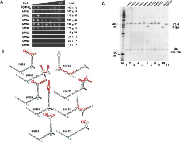 FIGURE 6.