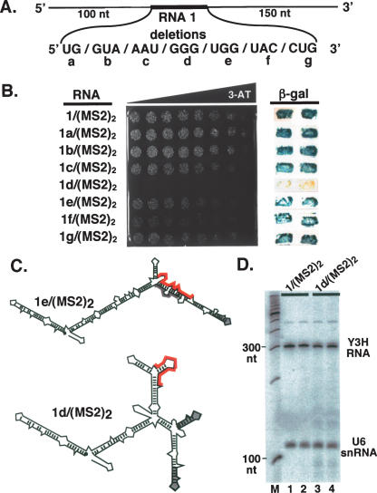 FIGURE 3.