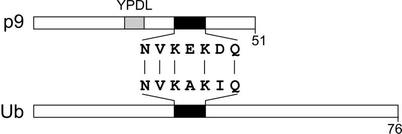 FIG. 5.