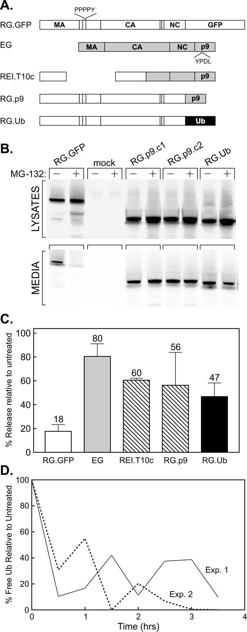 FIG. 4.