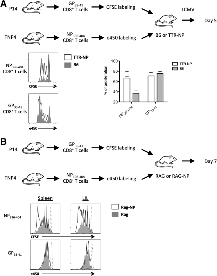 Figure 6