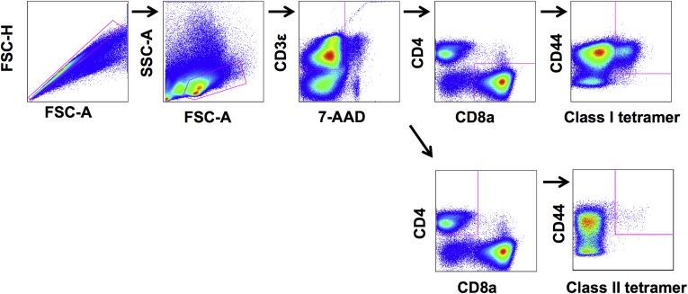 Supplementary Figure 1