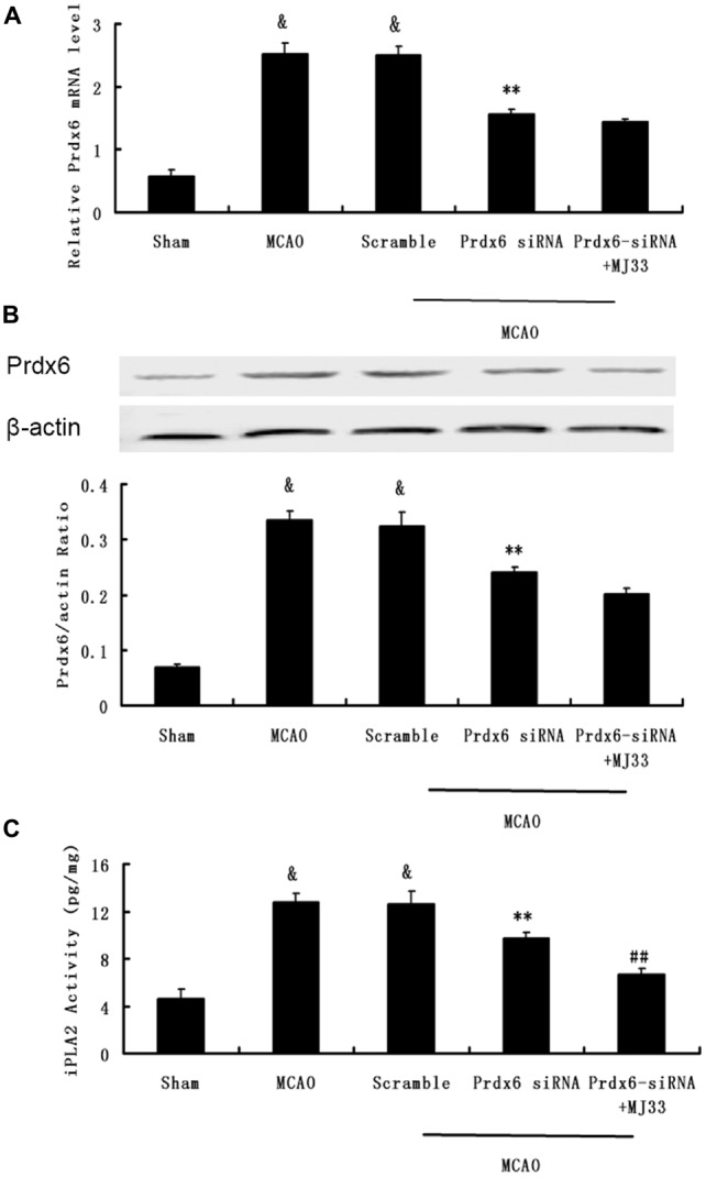 Figure 6