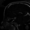 Figure 7