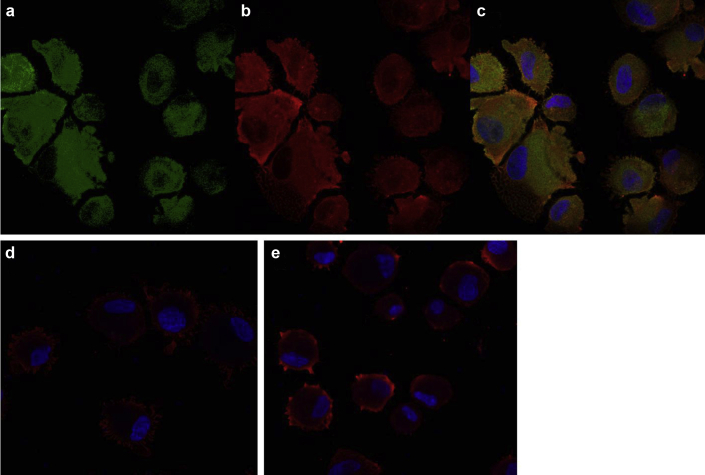 Figure 4