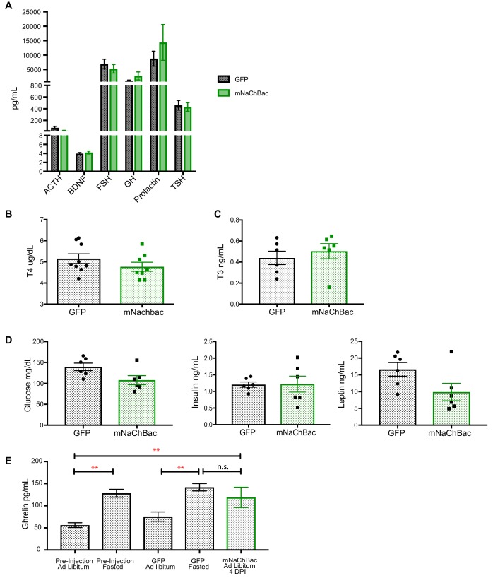 Figure 2—figure supplement 2.