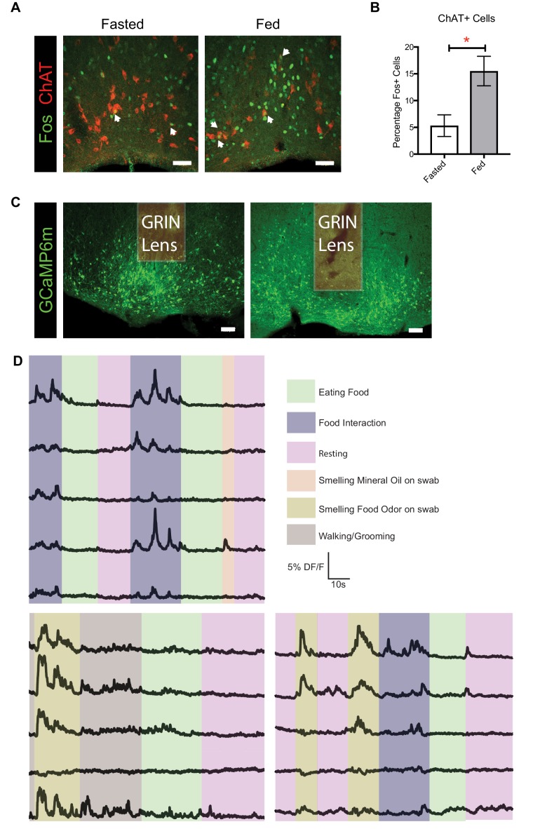 Figure 1—figure supplement 1.