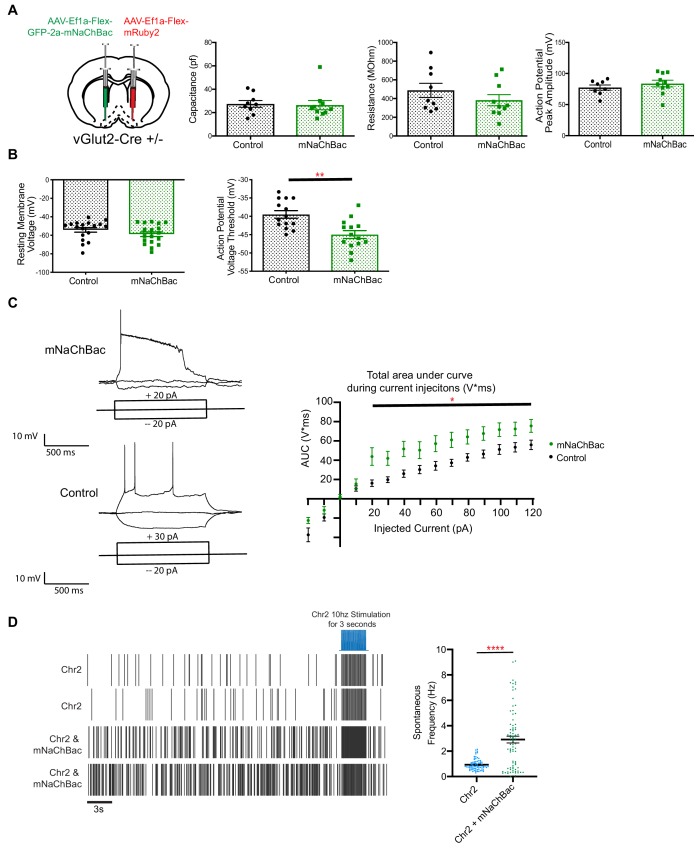 Figure 2—figure supplement 1.