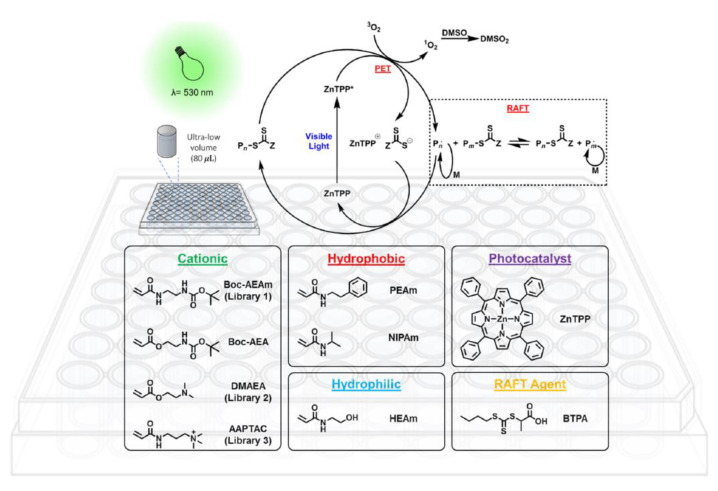 Figure 20