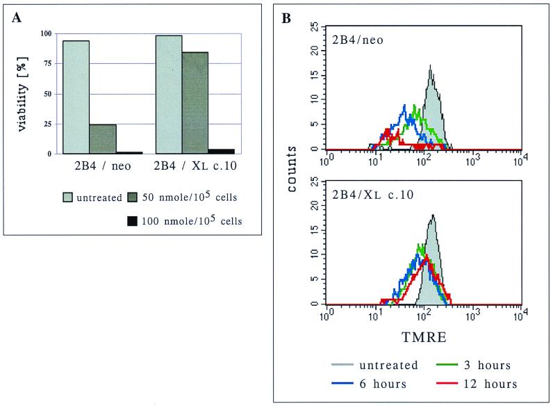 FIG. 7