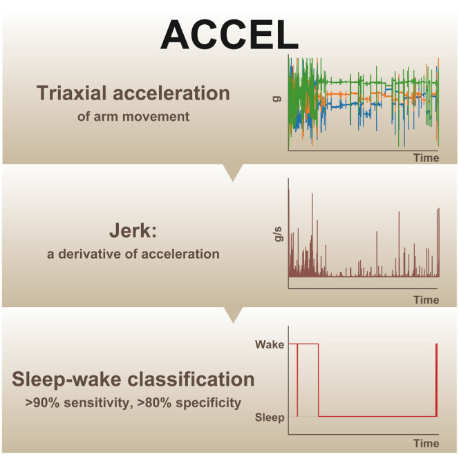 graphic file with name fx1.jpg