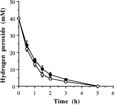 FIG. 5