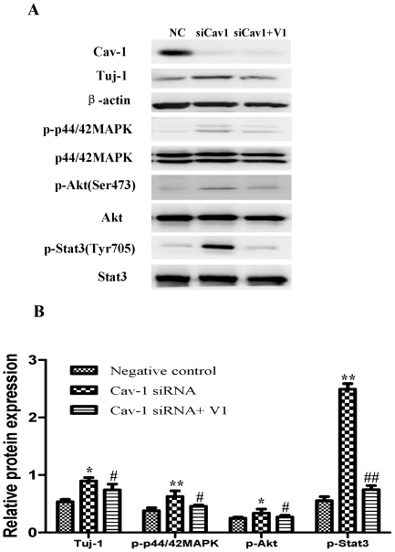 Figure 16