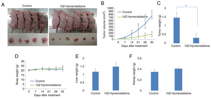 Figure 6.