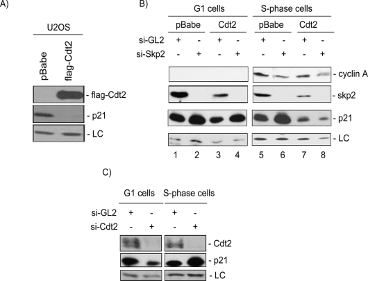 Figure 7.