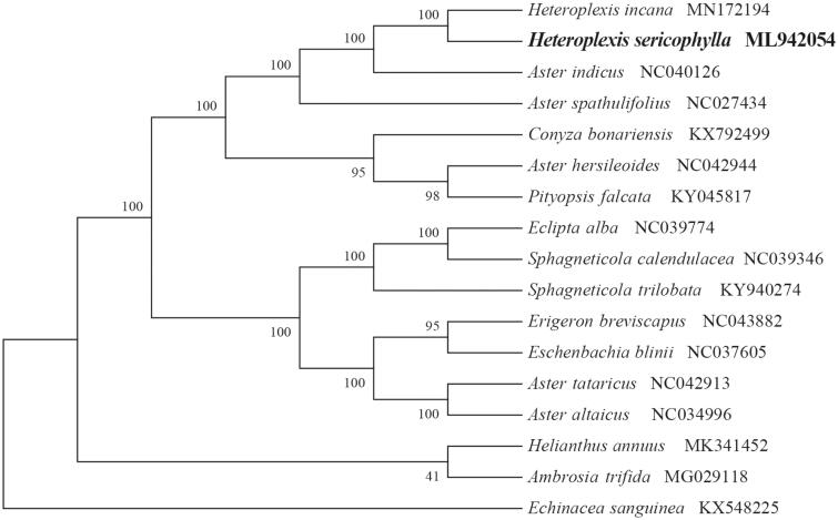 Figure 1.