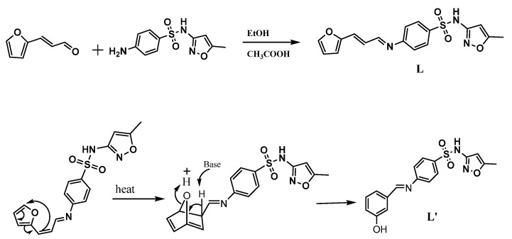 Scheme 1